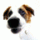 Lirex's Avatar